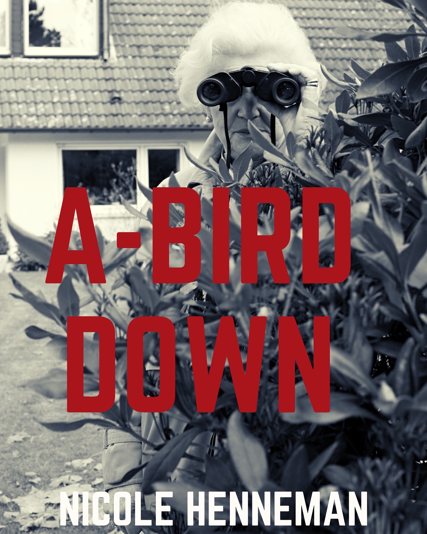 A-Bird Down